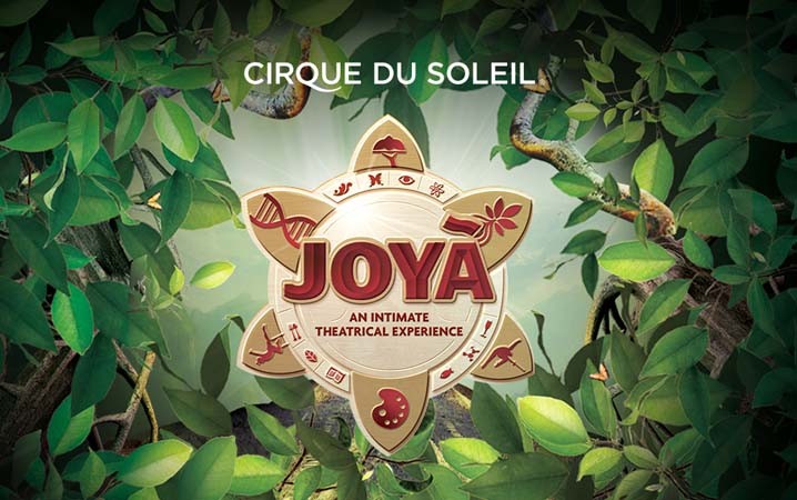 La Joya: Cirque du Soleil