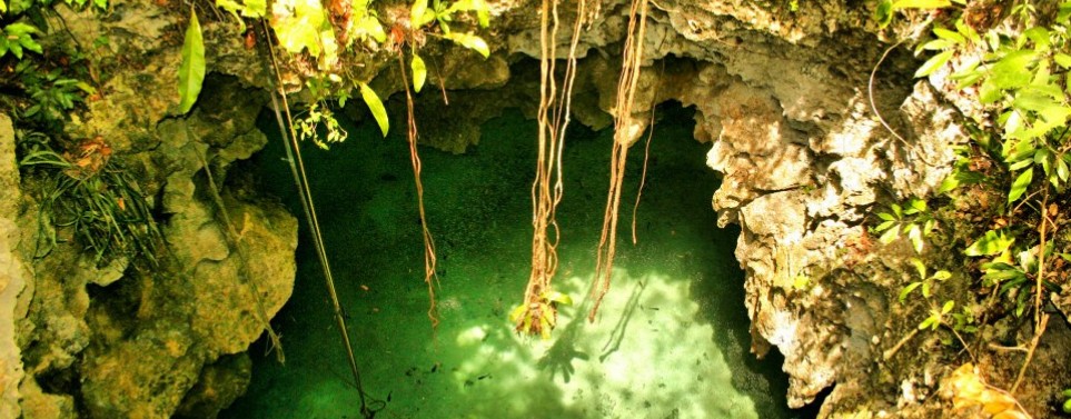Cenote Santa Cruz Cenote Santa Cruz