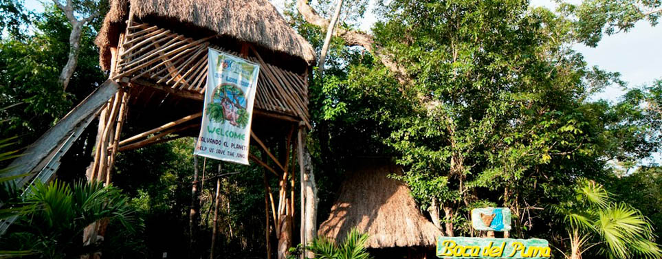 Boca Del Puma Eco-Park Boca Del Puma Eco-Park