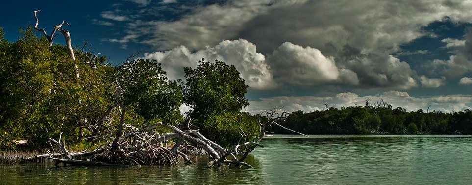 Las Bocas de Dzilam Las Bocas de Dzilam