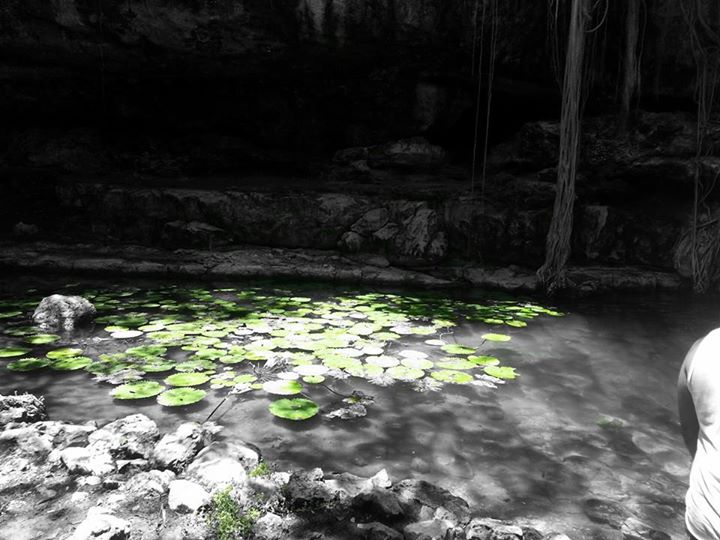 Cenote de San Antonio Mulix