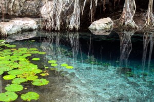 Cenote de San Antonio Mulix