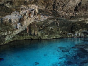 Cenote Los Tulipanes