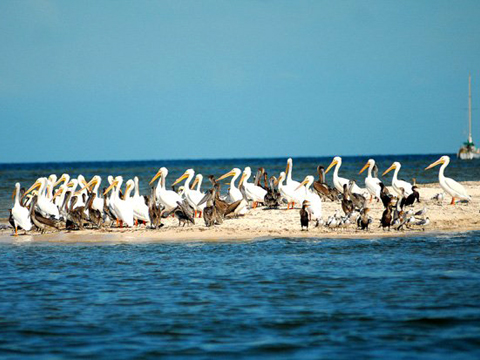 Dzilam de Bravo, Foto: www.yucatan.gob.mx