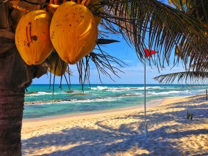 Playa del Caribe mexicano. Foto de Internet.
