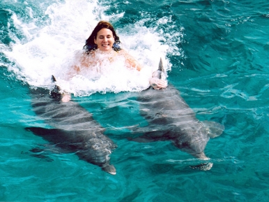 Dolphin Discovery Cozumel - Foto de Internet.