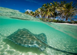 Playa de Cancún. Foto de Internet.