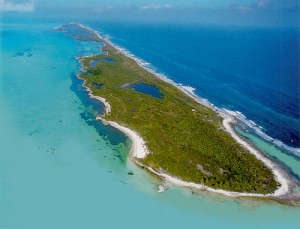 Isla Contoy - Foto de Internet.