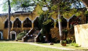 Reserva ecológica Cuxtal - Foto Lluvia Magaña.