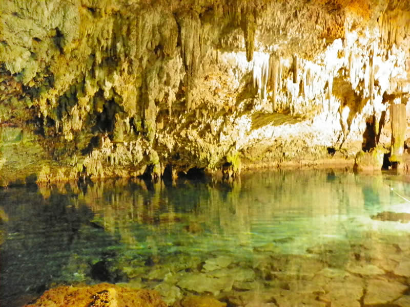 Cenote Choo Ha  - Foto de Internet.