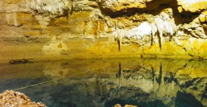 Cenote Tankach- Ha  - Foto de Internet.